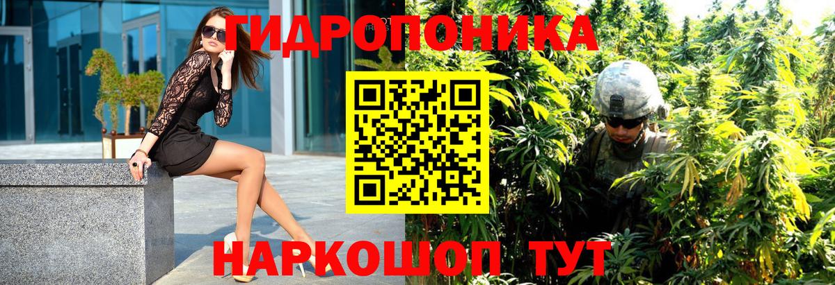 Ачхой-Мартан  Шишки марихуана план  Бошки Шишки AK-47  МАРИХУАНА планчик  Вход с VPN 